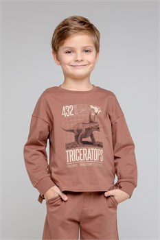 КР 301860/коричневый к344 джемпер для мальчика КР 301860/коричневый к344 - фото 24663